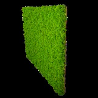 Moospaneel Napoleo PREMIUM Islandmoos