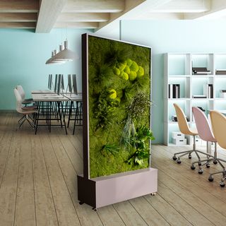 Raumteiler „Scooter Boxed“ mit Pflanzenmoos