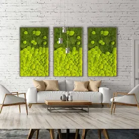Drei große Moosbilder aus Wald- und Ballenmoos über einem weißen Sofa
