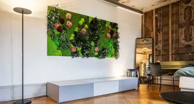 MOOSMOOS Showroom Buchwalder-Linder in Luzern